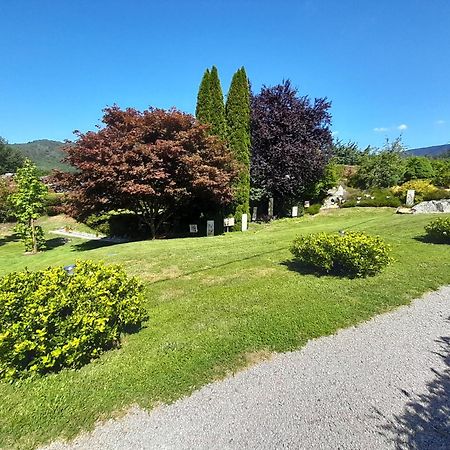 Chalet De Grettery Saulxures-sur-Moselotte Exterior foto