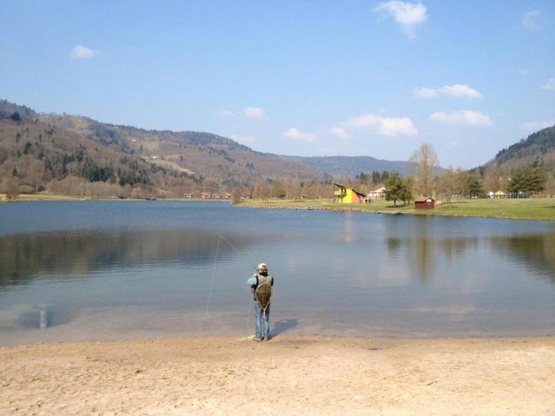 Chalet De Grettery Saulxures-sur-Moselotte Exterior foto